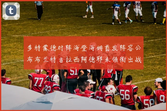 多特蒙德对阵海登海姆首发阵容公布布兰特吉拉西阿德耶米领衔出战