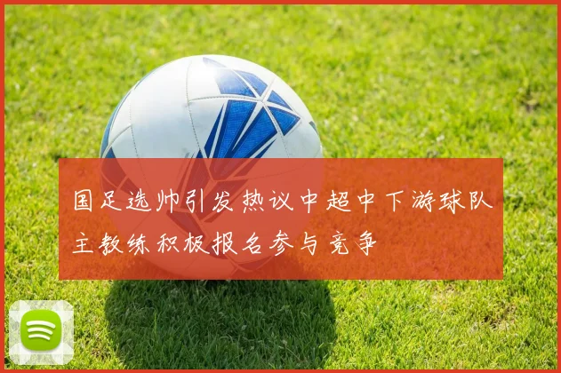 国足选帅引发热议中超中下游球队主教练积极报名参与竞争