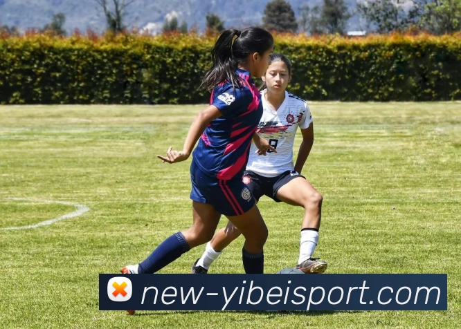 易倍体育APP 封面图